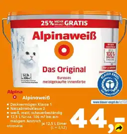Globus Baumarkt Alpina Alpinaweiß Das Original Angebot