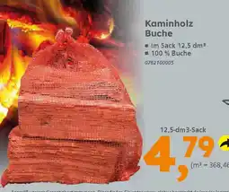 Globus Baumarkt Kaminholz Buche Angebot