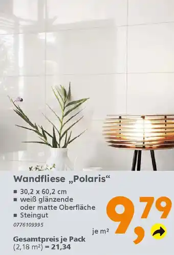 Globus Baumarkt Wandfliese,,Polaris" Angebot