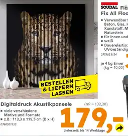 Globus Baumarkt Digitaldruck Akustikpaneele Angebot