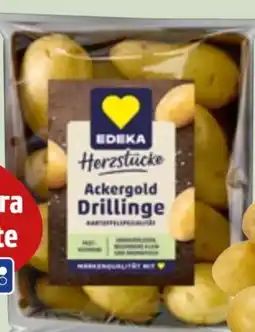 Edeka Xpress Edeka Herzstücke Speisekartoffeln Angebot