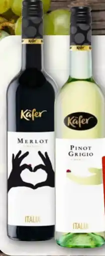 nahkauf Käfer Pinot Grigio Angebot