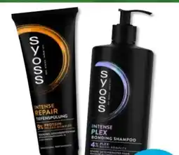Budni Schwarzkopf Syoss Shampoo Angebot