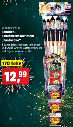 Thomas Philipps WECO FEUERWERK Familien Feuerwerkssortiment ,,Fantastico" Angebot