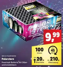 Thomas Philipps WECO FEUERWERK Polarstern Angebot