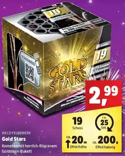 Thomas Philipps WECO FEUERWERK Gold Stars Angebot