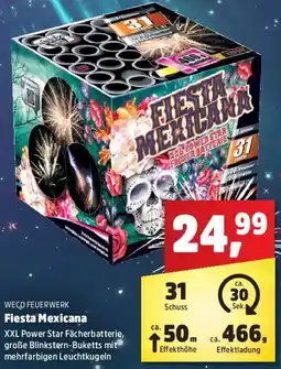 Thomas Philipps WECO FEUERWERK Fiesta Mexicana Angebot