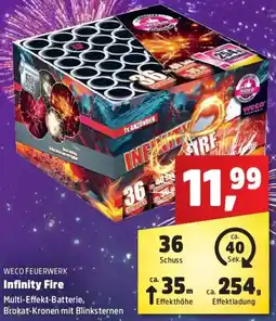 Thomas Philipps WECO FEUERWERK Infinity Fire Angebot