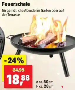 Thomas Philipps Feuerschale Angebot
