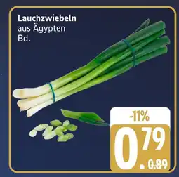 Marktkauf Lauchzwiebeln Angebot