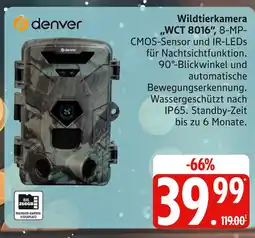 Marktkauf Denver wildtierkamera wct 8016 Angebot