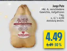 diska Ronsard junge pute Angebot