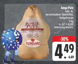 Edeka Ronsard junge pute Angebot