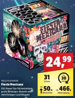 Thomas Philipps WECO FEUERWERK Fiesta Mexicana Angebot