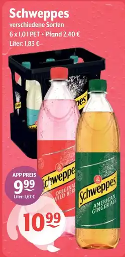Getränke Hoffmann Schweppes Angebot