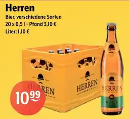 Getränke Hoffmann Herren Bier Angebot