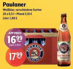 Getränke Hoffmann Paulaner Weißbier Angebot