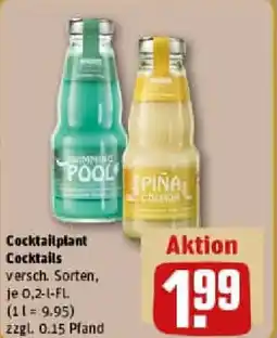 REWE Cocktailplant Cocktails Angebot