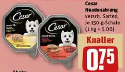 REWE Cesar Hundenahrung Angebot