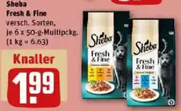 REWE Sheba Fresh & Fine Angebot