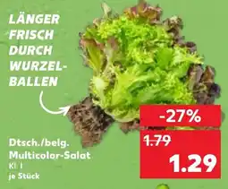 Kaufland Dtsch./belg. Multicolor Salat Angebot