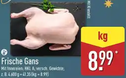 Aldi Nord Frische Gans Angebot