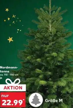 Kaufland Nordmanntanne Angebot