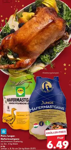 Kaufland Poln./ungar. Hafermastgans Angebot