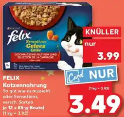Kaufland FELIX Katzennahrung Angebot