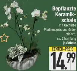 E-Center Bepflanzte Keramikschale Angebot