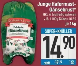 E-Center Junge Hafermast Gänsebrust Angebot
