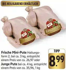 Edeka Neukauf Frische Mini-Pute oder Junge Pute Angebot