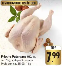 Edeka Neukauf Frische Pute ganz Angebot
