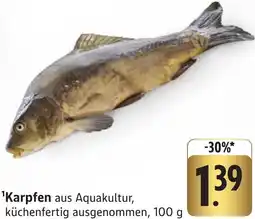 Edeka Neukauf Karpfen Angebot