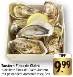 Edeka Neukauf Austern Fines de Claire Angebot