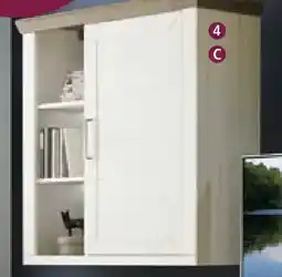 Zurbrüggen Hängeelement Angebot