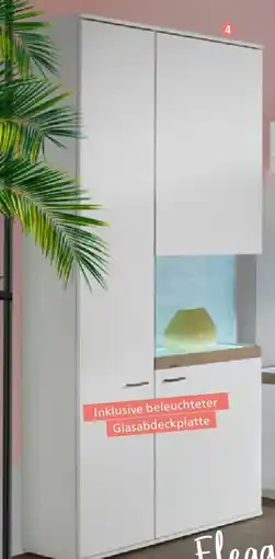 Zurbrüggen Vitrine Angebot