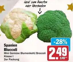 HIT Spanien Bluccoli Angebot