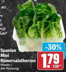 HIT Spanien Mini Römersalatherzen Angebot