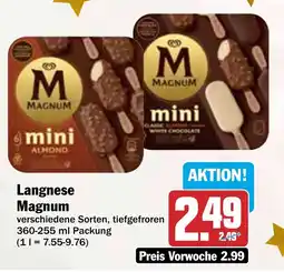 HIT Langnese Magnum Angebot