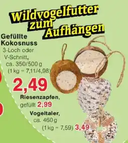 Jawoll Gefüllte Kokosnuss Angebot