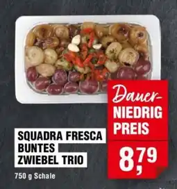 Handelshof SQUADRA FRESCA BUNTES ZWIEBEL TRIO Angebot