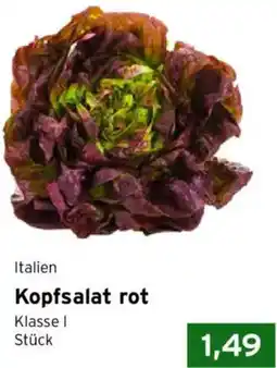 CAP Markt Kopfsalat rot Angebot