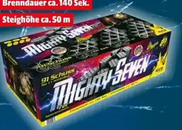 Hagebau Nico Verbundfeuerwerk Mighty Seven Angebot