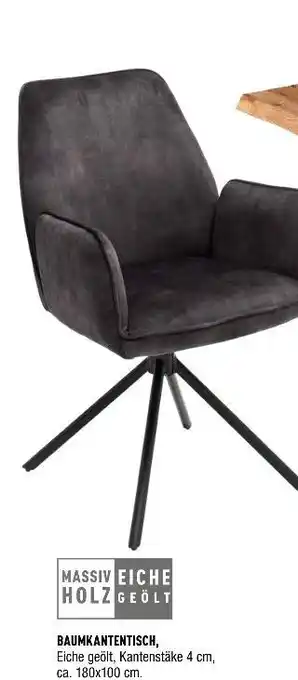 Möbel Wallach Armlehnenstuhl Angebot