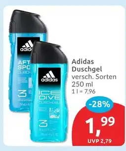 Budni Adidas duschgel ice dive Angebot