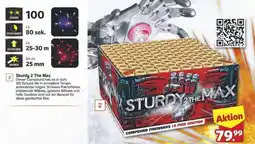 Famila Nord Ost LESLI FIREWORKS Sturdy 2 The Max Angebot