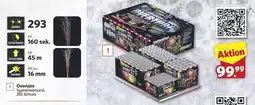 Famila Nord Ost LESLI FIREWORKS Overtüre Angebot
