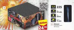 Combi Shimanzu Angebot