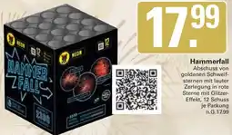 WEZ Comet Hammerfall Angebot